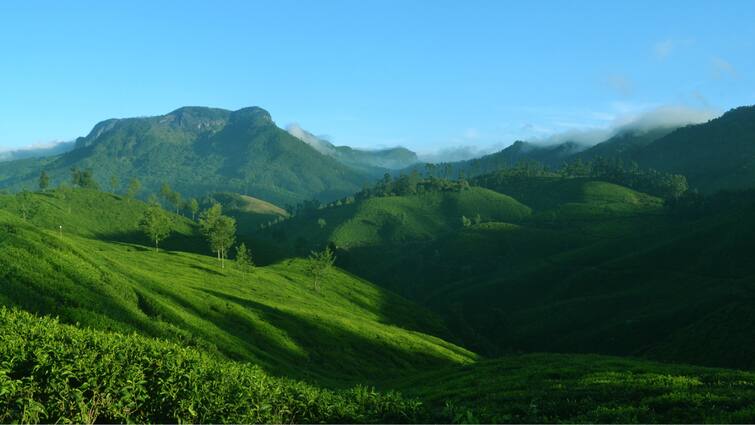 Discovering Hidden Gems: 6 Less-Crowded Hill Stations in South India