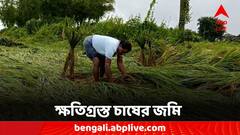 দানার দৌরাত্ম্য বিপর্যয়, জলের তলায় ধান জমি, মাথায় হাত কৃষকদের