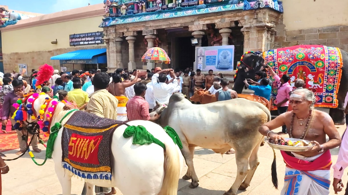 அறுபதை தொட்ட ஆதீனம் - கோலாகலமாக துவங்கிய மணிவிழா ஆண்டு; பக்தர்கள் உற்சாகம்....!