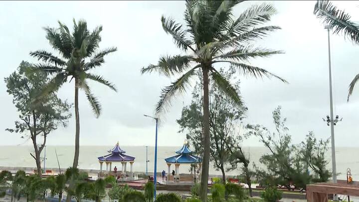 দানার দাপট বাংলাতেও। পূর্ব মেদিনীপুরেও বহু জায়গায় ভাঙল গাছ।