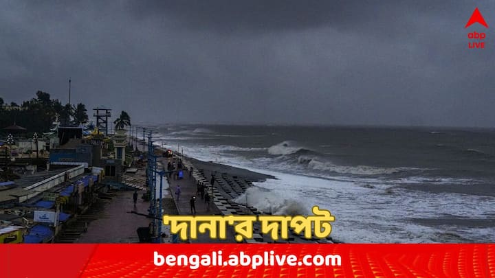 দানার দাপট বাংলাতেও। পূর্ব মেদিনীপুরেও বহু জায়গায় ভাঙল গাছ