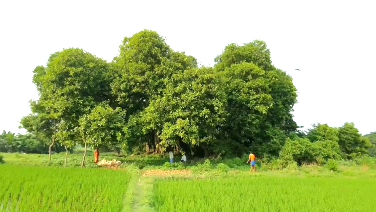 தீபாவளிக்கு வெடி வெடிக்கும் ஆசை இருந்த அதை மறந்துடுங்க - ஏன் தெரியுமா?