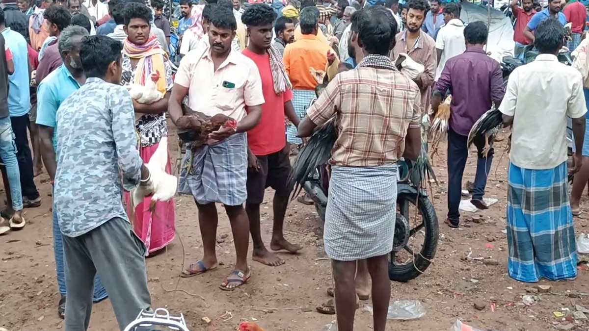 நெருங்கும் தீபாவளி... அய்யலூர் ஆட்டுச் சந்தையில்   3 கோடி ரூபாய்க்கு ஆடுகள் விற்பனை