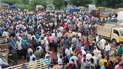 நெருங்கும் தீபாவளி... அய்யலூர் ஆட்டுச் சந்தையில்   3 கோடி ரூபாய்க்கு ஆடுகள் விற்பனை