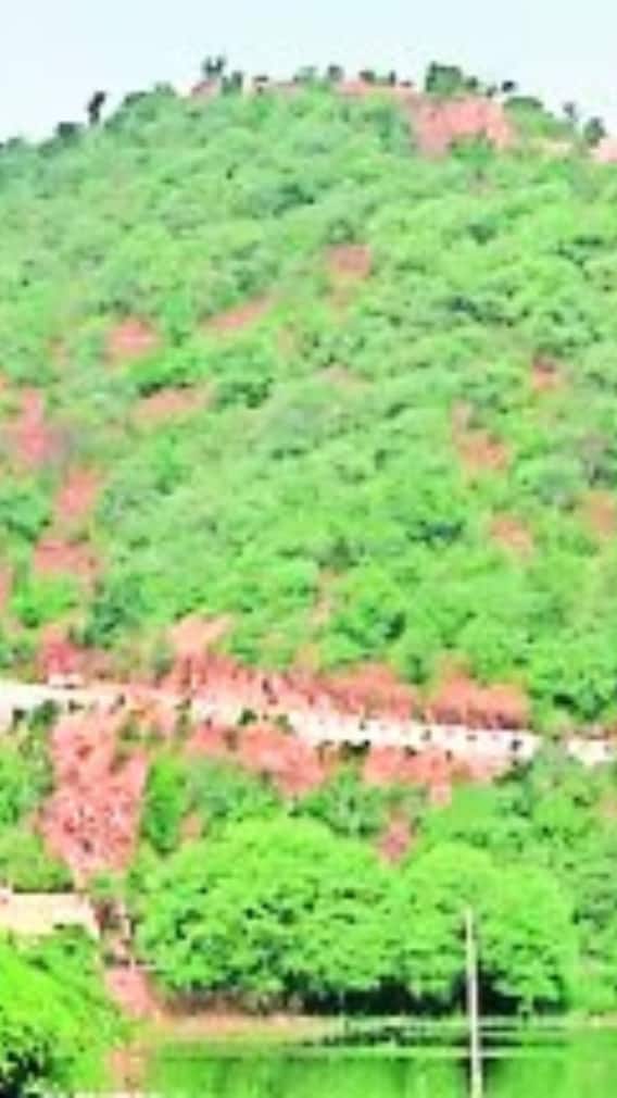 यूपी में कहां है गोवर्धन पर्वत?