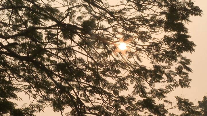 আবার যদি বৃষ্টি নামে, তাহলে কী হবে ? এই আশঙ্কায় রয়েছে উপকূলবর্তী এলাকার মানুষরা। তবে সেই আশঙ্কা উড়িয়ে সুখবরই দিল হাওয়া অফিস।