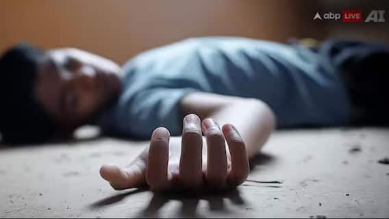 UP: 5 Doctors Returning From Wedding Killed In Car Crash On Agra-Lucknow Expressway