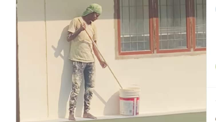 The Painter's Stillness Wins Hearts Online: Watch Viral Video