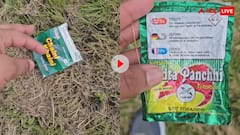 लंदन में मिल रहा चैनी पान मसाला और खैनी, लोगों ने खाकर सड़कों पर फेंके पाउच, वायरल हो रहा वीडियो