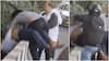 Road Rage In Greater Noida Caught On Camera, Driver Fighting On Street Cause Massive Snarl