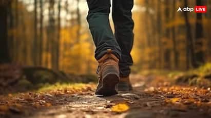Walking Mistakes: દરરોજ સવાર-સાંજ ચાલવું સ્વાસ્થ્ય માટે ફાયદાકારક માનવામાં આવે છે. ચાલવાના ફાયદા ત્યારે જ મળે છે જ્યારે તે યોગ્ય રીતે કરવામાં આવે.
