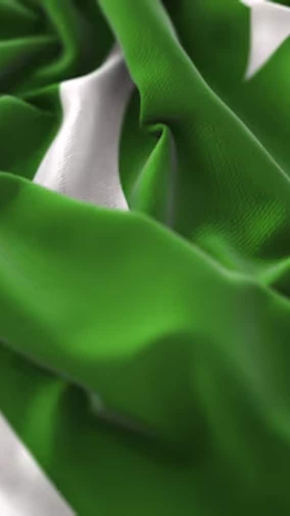 पाकिस्तानी झंडे और इस्लामिक झंडे में क्या फर्क है?