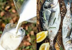 દૂધ અને માછલી એકસાથે ખાવાથી સ્કીન પર થાય છે સફેદ દાગ ? જાણો  