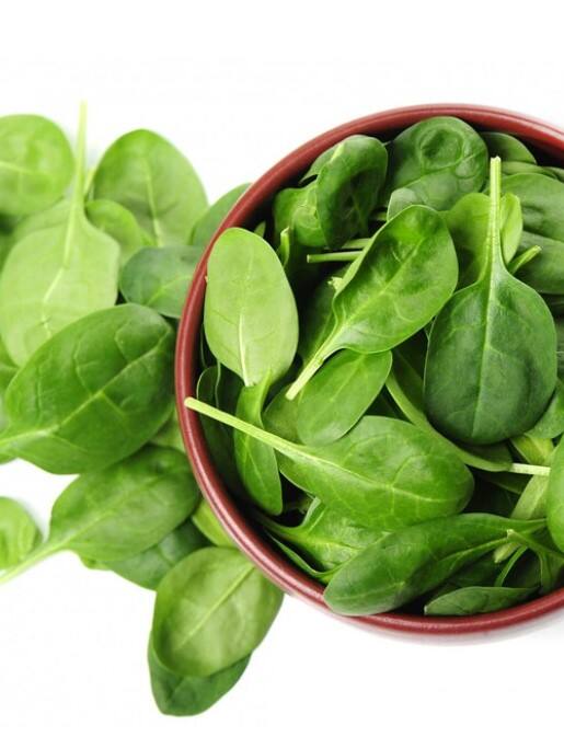 ਗੁਰਦੇ ਦੀ ਪੱਥਰੀ, ਭੋਜਨ ਦੀ ਐਲਰਜੀ ਅਤੇ ਪਾਚਨ ਪ੍ਰਣਾਲੀ ਨਾਲ ਜੁੜੀਆਂ ਸਮੱਸਿਆਵਾਂ ਦੇ ਮਾਮਲੇ ਵਿਚ ਪਾਲਕ ਦਾ ਸੇਵਨ ਸਿਹਤ ਨੂੰ ਗੰਭੀਰ ਨੁਕਸਾਨ ਪਹੁੰਚਾ ਸਕਦਾ ਹੈ। ਆਓ ਜਾਣਦੇ ਹਾਂ ਕਿ ਕਿਹੜੇ ਲੋਕਾਂ ਨੂੰ ਗਲਤੀ ਨਾਲ ਵੀ ਪਾਲਕ ਸਾਗ ਦਾ ਸੇਵਨ ਨਹੀਂ ਕਰਨਾ ਚਾਹੀਦਾ।