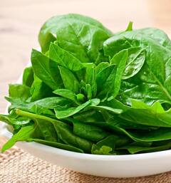 ਇਹ 5 ਲੋਕਾਂ ਨੂੰ ਗਲਤੀ ਨਾਲ ਵੀ ਪਾਲਕ ਦਾ ਸਾਗ ਨਹੀਂ ਖਾਣਾ ਚਾਹੀਦਾ, ਸਿਹਤ ਨੂੰ ਹੋ ਸਕਦੇ ਇਹ ਨੁਕਸਾਨ