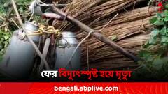 বিদ্যুৎস্পৃষ্ট হয়ে মৃত্যু এবার মুর্শিদাবাদে ! 'গাফিলতির' অভিযোগ ওড়াল বিদ্যুৎ নিগম
