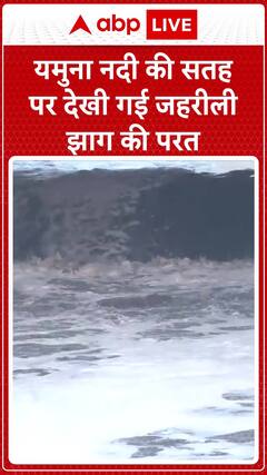Toxic Foam Spreads on Yamuna River, Environmental Alarm Rings | ABP News