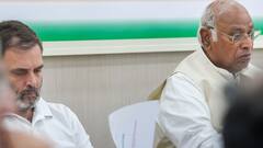 Maharashtra Polls: Rahul Gandhi 'Upset' Over Ticket Distribution, Seat Sharing With MVA — Report