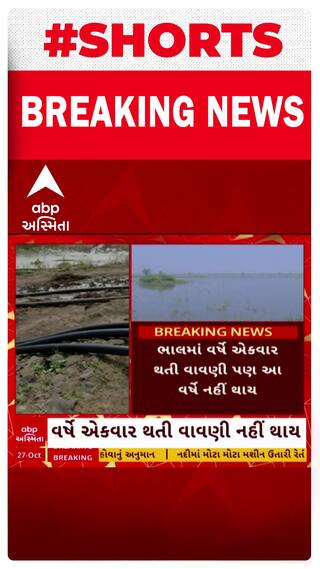 Bhal Farmer: ભાલ પંથકના ખેડૂતોના માથે ફાટ્યું આભ, 37 ગામની હજારો હેક્ટર જમીન પર પાણીનું સામ્રાજ્ય