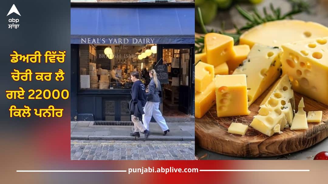 ਚੋਰਾਂ ਨੇ ਤਾਂ ਹੱਦ ਹੀ ਕਰ ਦਿੱਤੀ ! ਇਸ ਡੇਅਰੀ ਵਿੱਚੋਂ ਚੋਰੀ ਕਰ ਲੈ ਗਏ 22000 ਕਿਲੋ ਪਨੀਰ thieves steal 22 tons of cheese from neil yard dairy in london goes viral trending news ਚੋਰਾਂ ਨੇ ਤਾਂ ਹੱਦ ਹੀ ਕਰ ਦਿੱਤੀ ! ਇਸ ਡੇਅਰੀ ਵਿੱਚੋਂ ਚੋਰੀ ਕਰ ਲੈ ਗਏ 22000 ਕਿਲੋ ਪਨੀਰ