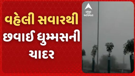 Rajkot:વહેલી સવારથી છવાઈ ધુમ્મસની ચાદર, ઠંડીનો ચમકારો | Watch Video