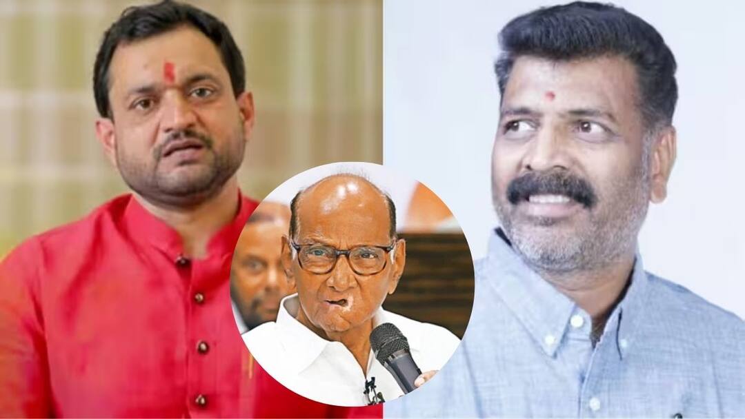 Sharad Pawar: मावळमध्ये शरद पवार गटाचा बंडखोर भेगडेंना पाठिंबा, बंडखोरासाठी मावळ पॅटर्न राबवणार? एबीपी माझाच्या बातमीवर शिक्कामोर्तब Sharad Pawar groups support for rebels in Maval On Monday Sharad Pawar group will be present while filing the Maharashtra Vidhan Sabha Election 2024 application of Bapu Bhegade Sharad Pawar: मावळमध्ये शरद पवार गटाचा बंडखोर भेगडेंना पाठिंबा, बंडखोरासाठी मावळ पॅटर्न राबवणार? एबीपी माझाच्या बातमीवर शिक्कामोर्तब