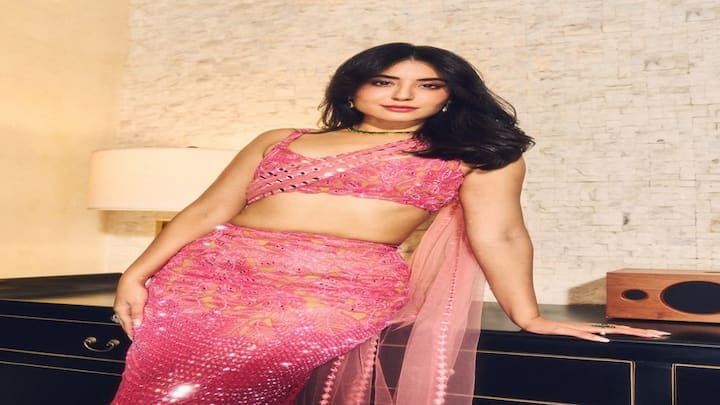 Kritika Kamra: પિંક સાડીમાં કૃતિકા કામરાએ કરાવ્યું ગ્લેમરસ ફોટોશૂટ, જુઓ તસવીરો