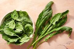 ફેટી લીવરમાં પાલકનું પાણી ફાયદાકારક, આ ગંભીર સમસ્યાઓમાં મળશે રાહત 