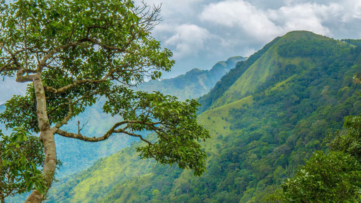 South India Hill Station: நவம்பர் டூ ஜனவரி, ஹில்ஸ்டேஷன் போக ஆசையா? தென்னிந்தியாவின் 6 சிறைந்த மலைவாசஸ்தலங்கள்