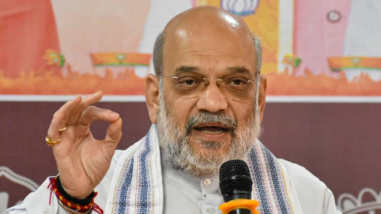 Peace Can Solely Be Established When Cross-Border Infiltration From Bangladesh Stops: Shah