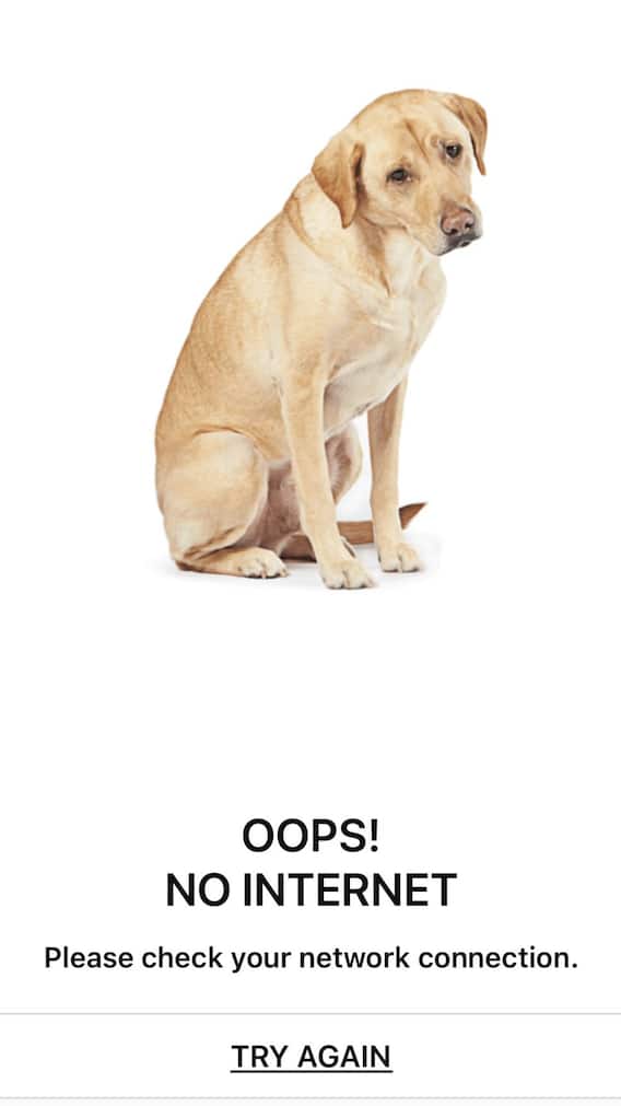 Network न होने पर Amazon क्यों दिखाता है Dog की फोटो! मजेदार है कारण