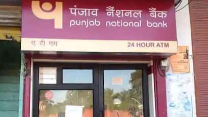 PNB Shares Recover After Early Fall Despite Rs 2,434 Crore Loan Fraud Disclosure