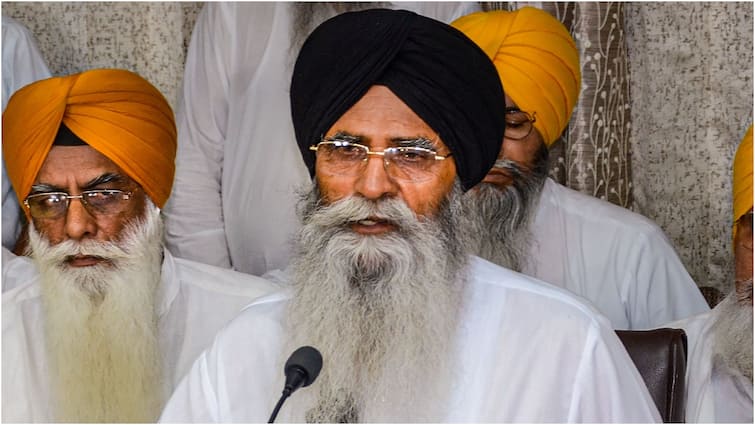 SAD’s Harjinder Dhami Re-Elected SGPC Chief For 4th Time period, Says Outcome Clear Reply To ‘Anti-Pan