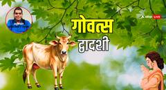 गोवत्स द्वादशी पर क्यों होती है गाय-बछड़े की पूजा, इस व्रत का महत्व जानें