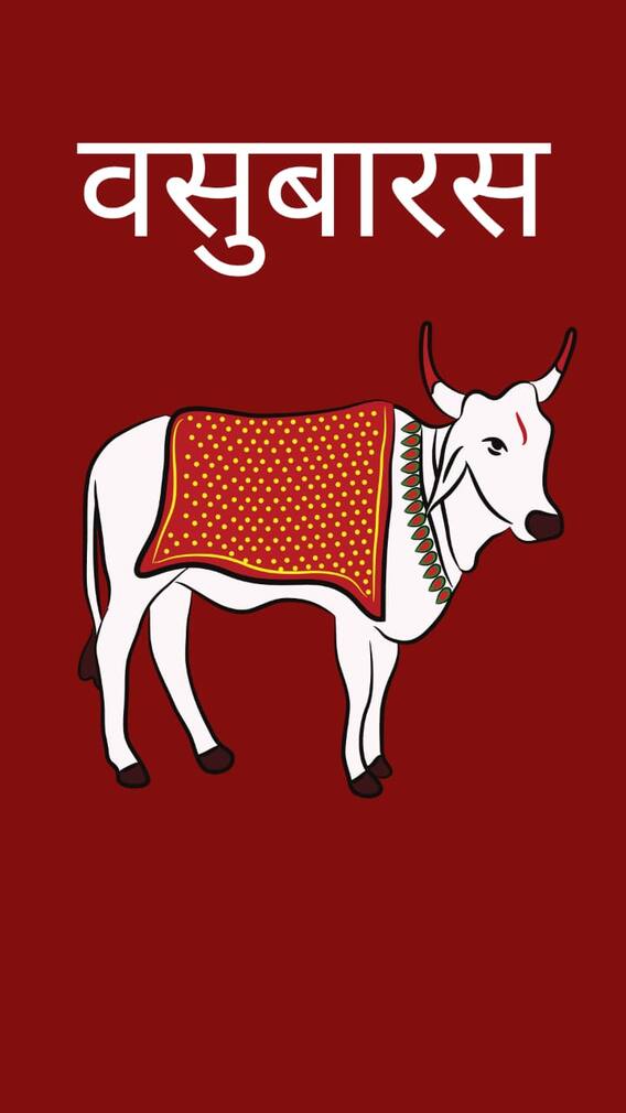 काय आहे वसुबारसेची प्रथा?