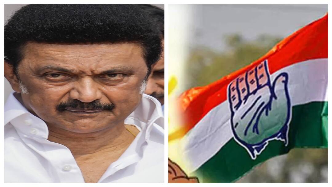 Tamil Nadu Congress to DMK asks for power sharing day after TVK vijay calls for alliance