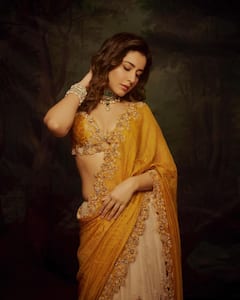 Raashi Khanna : పర్ఫెక్ట్ దీపావళి లుక్​లో రాశీ ఖన్నా.. ఇంత అందంగా ఉన్నావేంటి అంటోన్న ఫ్యాన్స్