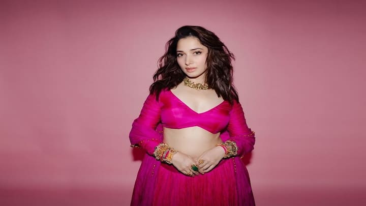 Tamannaah bhatia: પિંક લહેંગામાં તમન્ના ભાટીયાનો જોવા મળ્યો કાતિલ અંદાજ, જુઓ તસવીરો