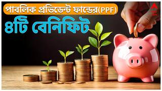 PPF Scheme: PPF স্কিম কি? কোন ৪টি বিষয় পিপিএফ স্কিমে ইনভেস্ট করতে সাহায্য় করবে? জেনে নিন