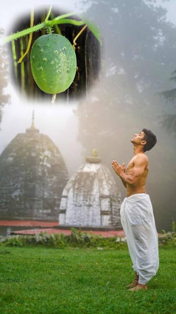 दिवाळीत कारिटं फोडण्याचे वैज्ञानिक महत्त्व!