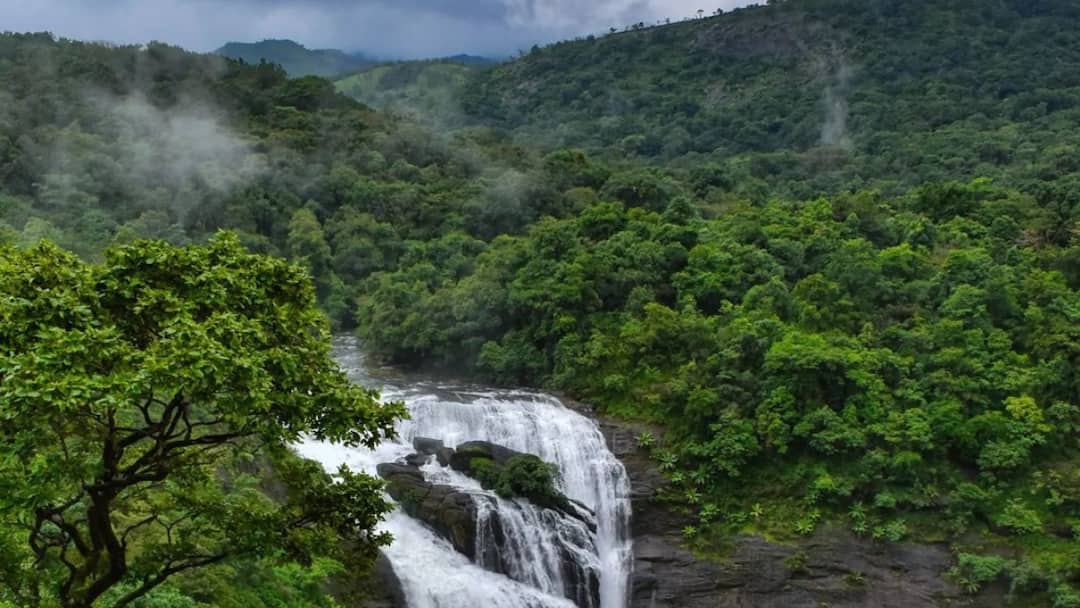 நீலகிரியில் மனித-வனவிலங்கு மோதலுக்கு தீர்வு... அதிநவீன புதிய கட்டுப்பாட்டு மையம் திறப்பு! தமிழக அரசின் சூப்பர் ஐடியா