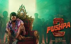 દેશનો સૌથી મોંઘો એક્ટર બન્યો અલ્લૂ અર્જૂન, થલાપતિ વિજયને આપી માત, 'પુષ્પા 2' માટે વસૂલ્યા ધરખમ રૂપિયા