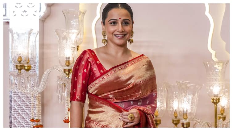 Producer's Harsh Words Left Vidya Balan Feeling Insecure for 6 Months