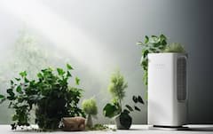 क्या हवा में मिली धूल को भी खत्म कर देते हैं एयर प्यूरीफायर, किस तकनीक से सेहत के लिए होते हैं फायदेमंद?⁩