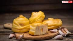 આ રીતે તમે દર મહિને એક કિલો ઘી બનાવી શકશો, જાણો મલાઈ કાઢવાની રીત