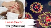 Health: कोरोना, मंकीपॉक्सनंतर आता Lassa Fever? उंदरांद्वारे पसरणारा एक दुर्मिळ संसर्ग, 'ही' लक्षणं तुम्हाला नाही ना?