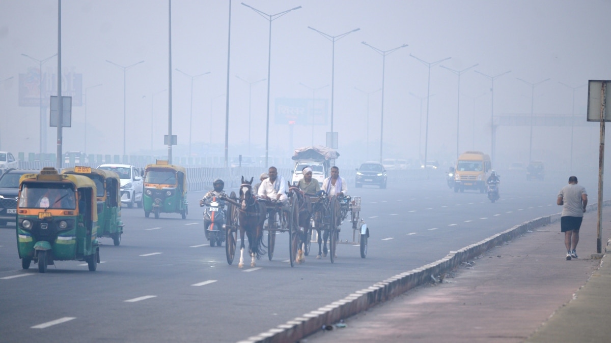 दिल्ली के स्कूलों में प्रदूषण से निपटने की तैयारी, बच्चों की सेहत के लिए अपनाएं ये उपाय