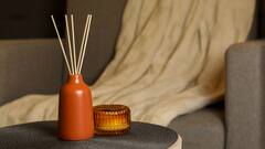 Transform Your Space: Aromatic Home Fragrances For Ultimate Relaxation