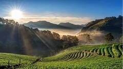 ભારતના આ શહેરોની હવામાં હજુ પ્રદૂષણ ભળ્યું નથી, અહી લોકો દિલ્હી કરતા 17 ગણી સ્વચ્છ હવામાં શ્વાસ લઈ રહ્યા છે