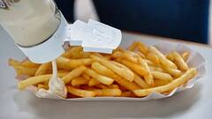 इस राज्य में मेयोनीज पर बैन, मोमो खाने से महिला की मौत के बाद हुआ फैसला